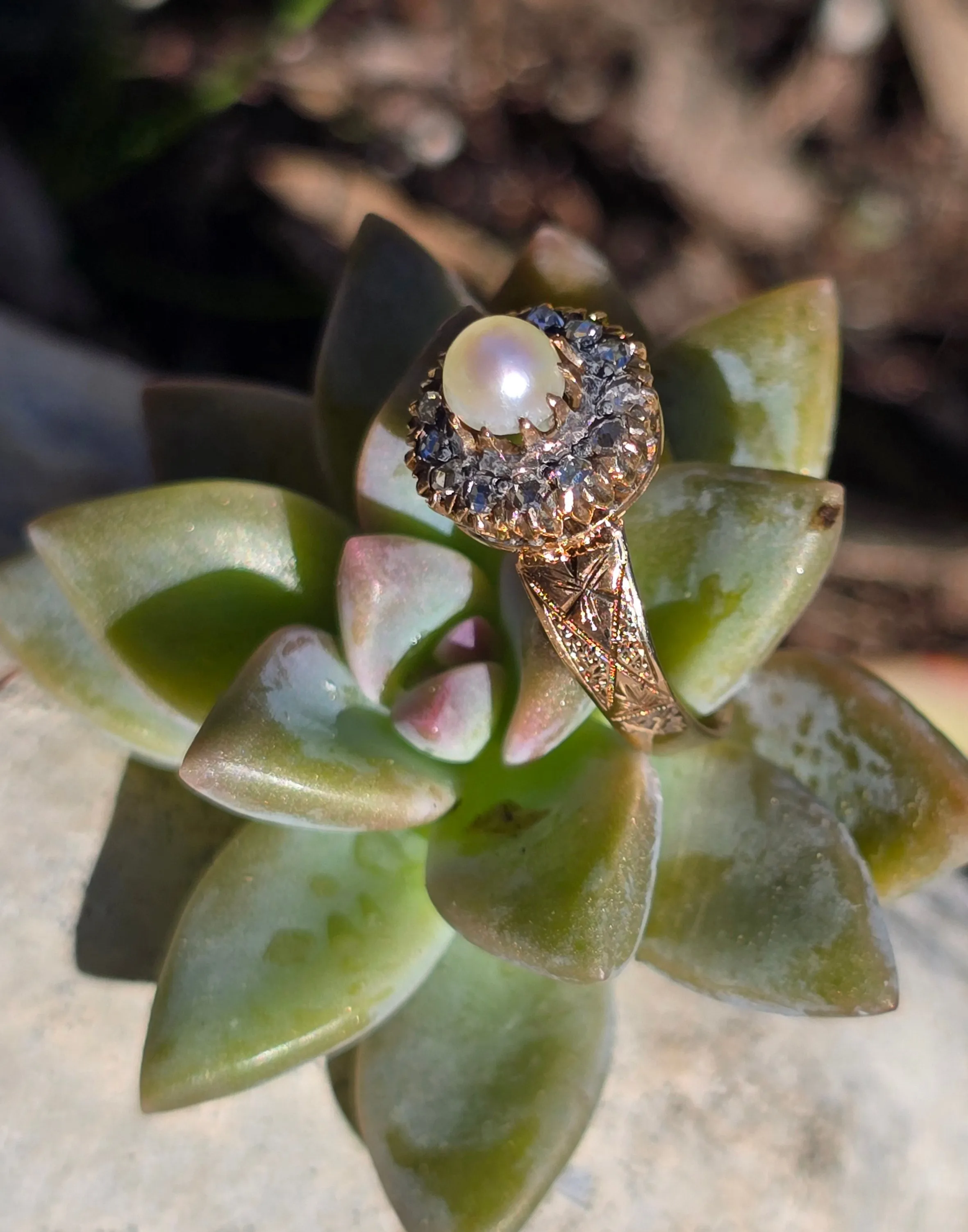14k Edwardian diamond and pearl antique halo ring