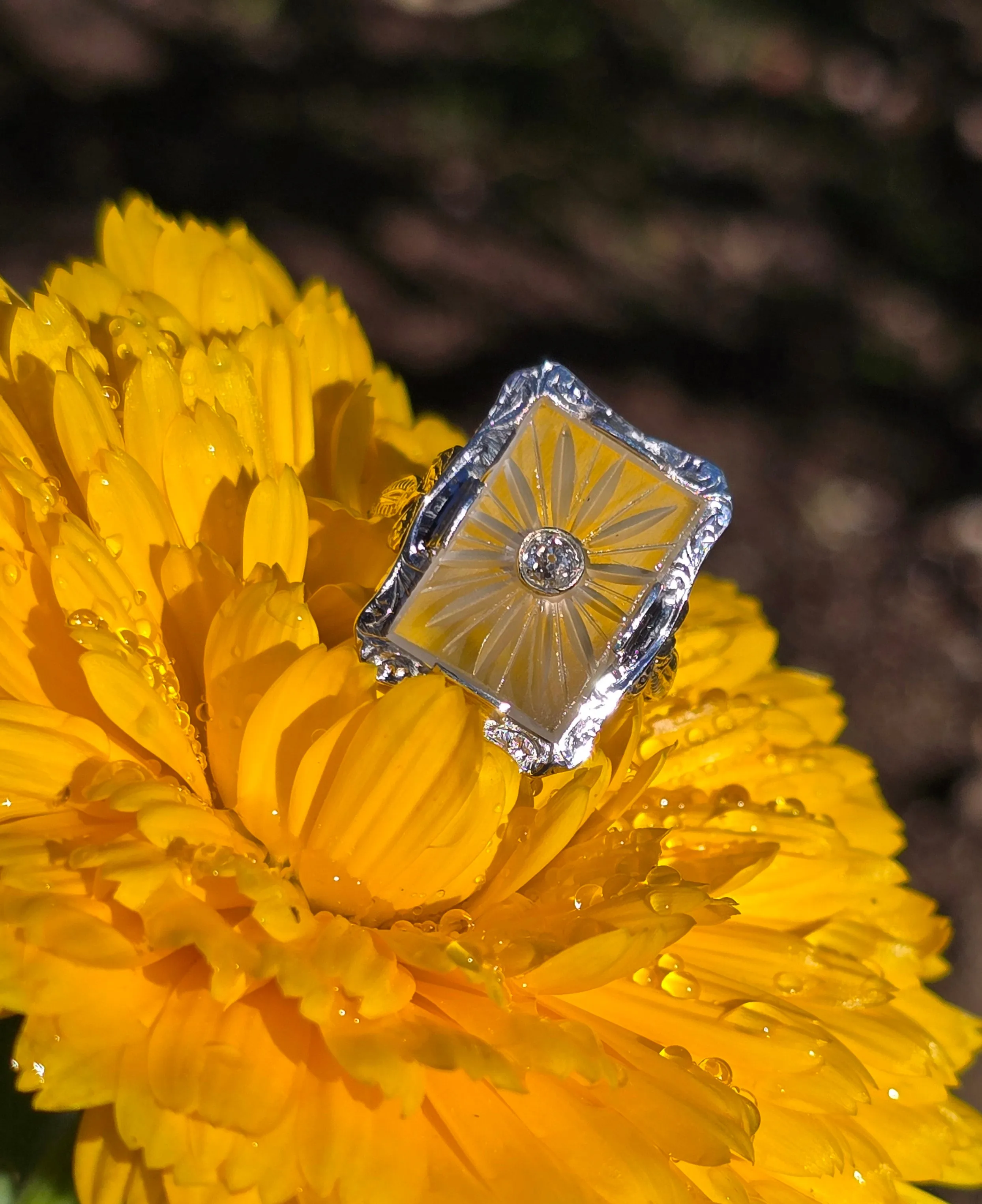 14k white gold Deco c.1920's filigree etched camphor and diamond antique ring