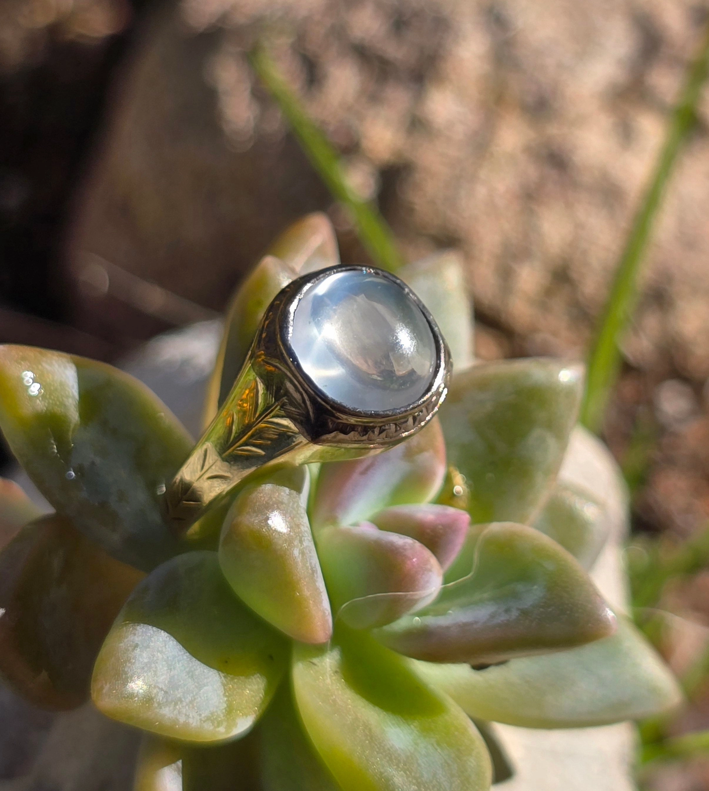 14k gold Art Deco bezel moonstone antique ring