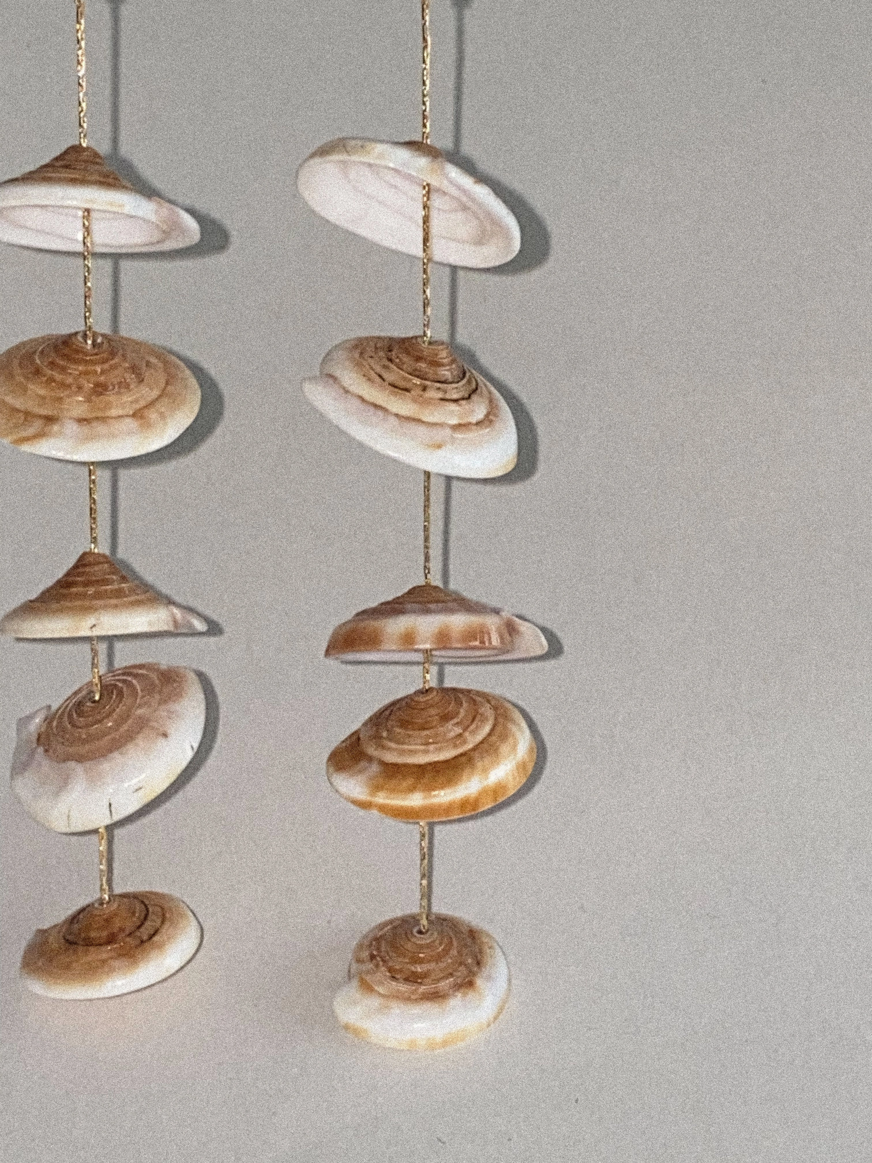 Conus Earrings