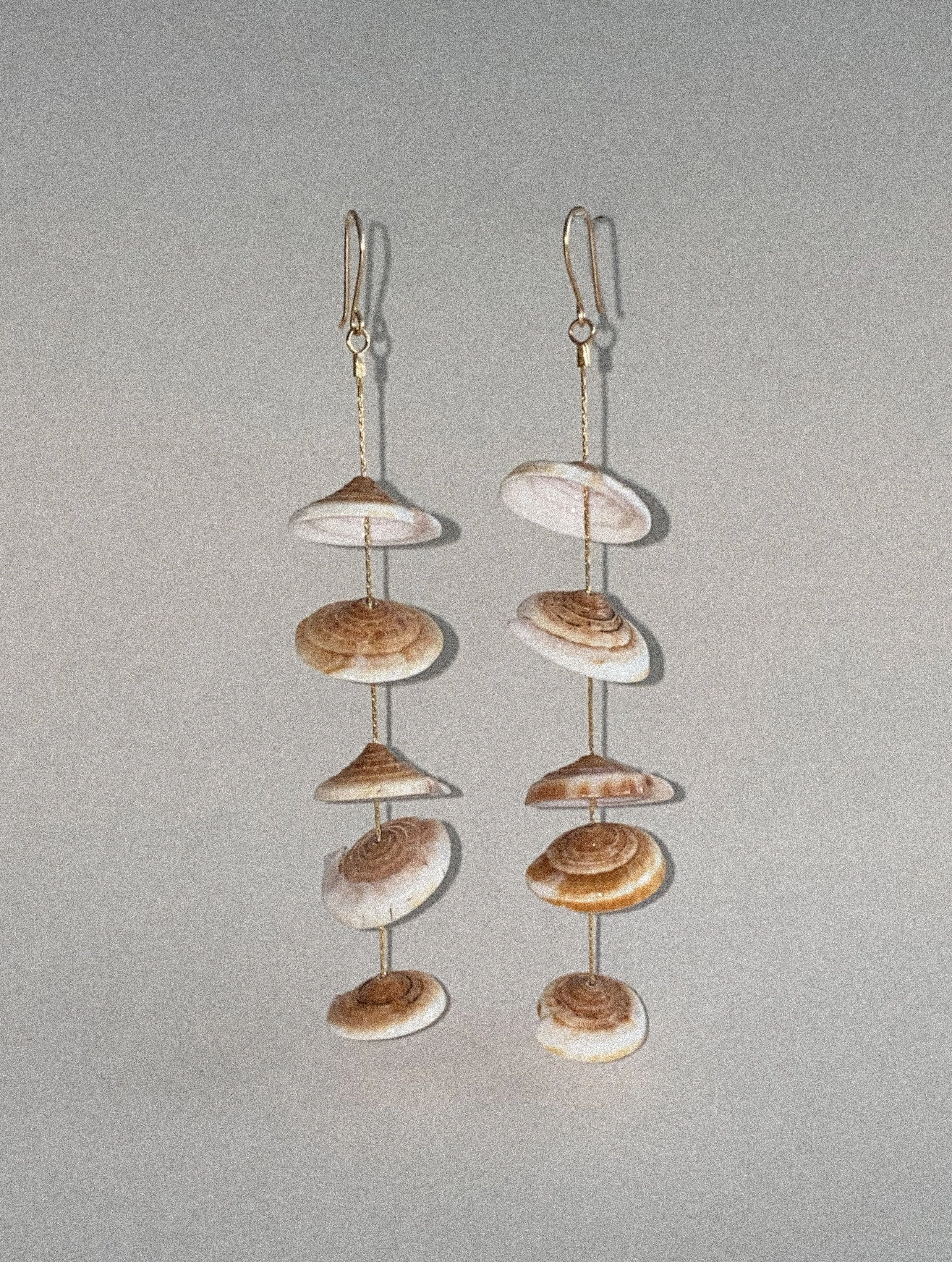 Conus Earrings