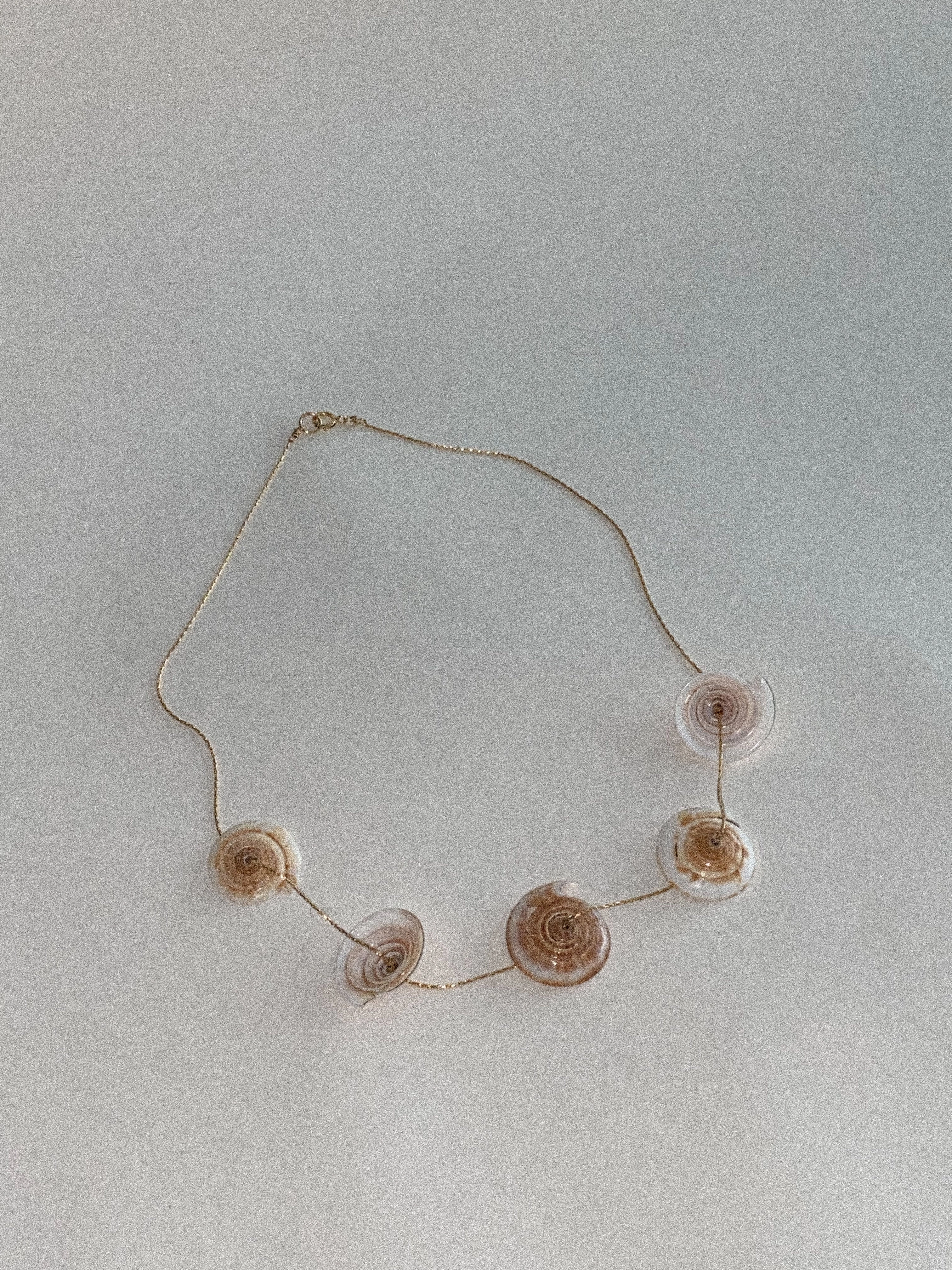 Conus Necklace