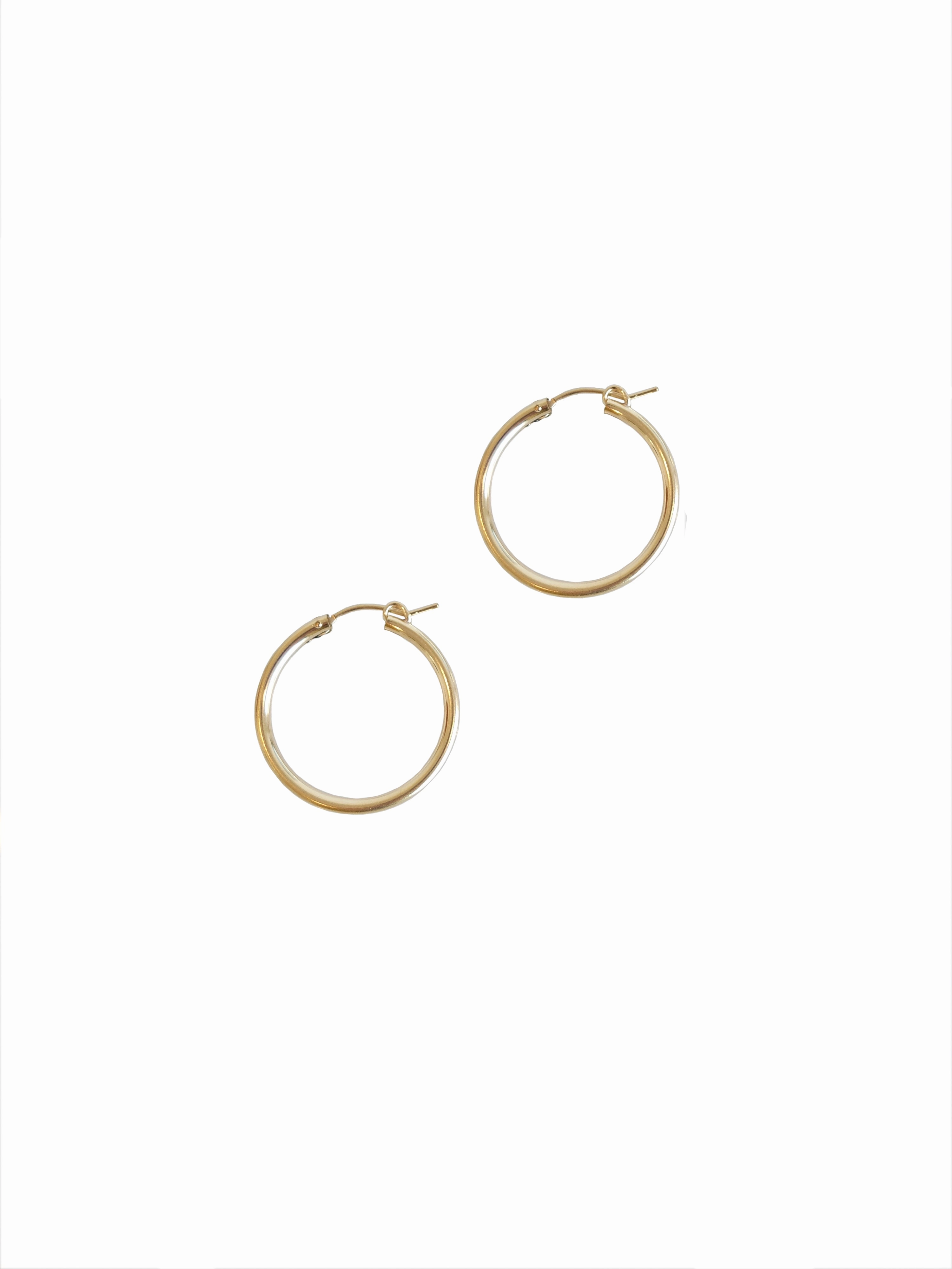 Dion Hoops