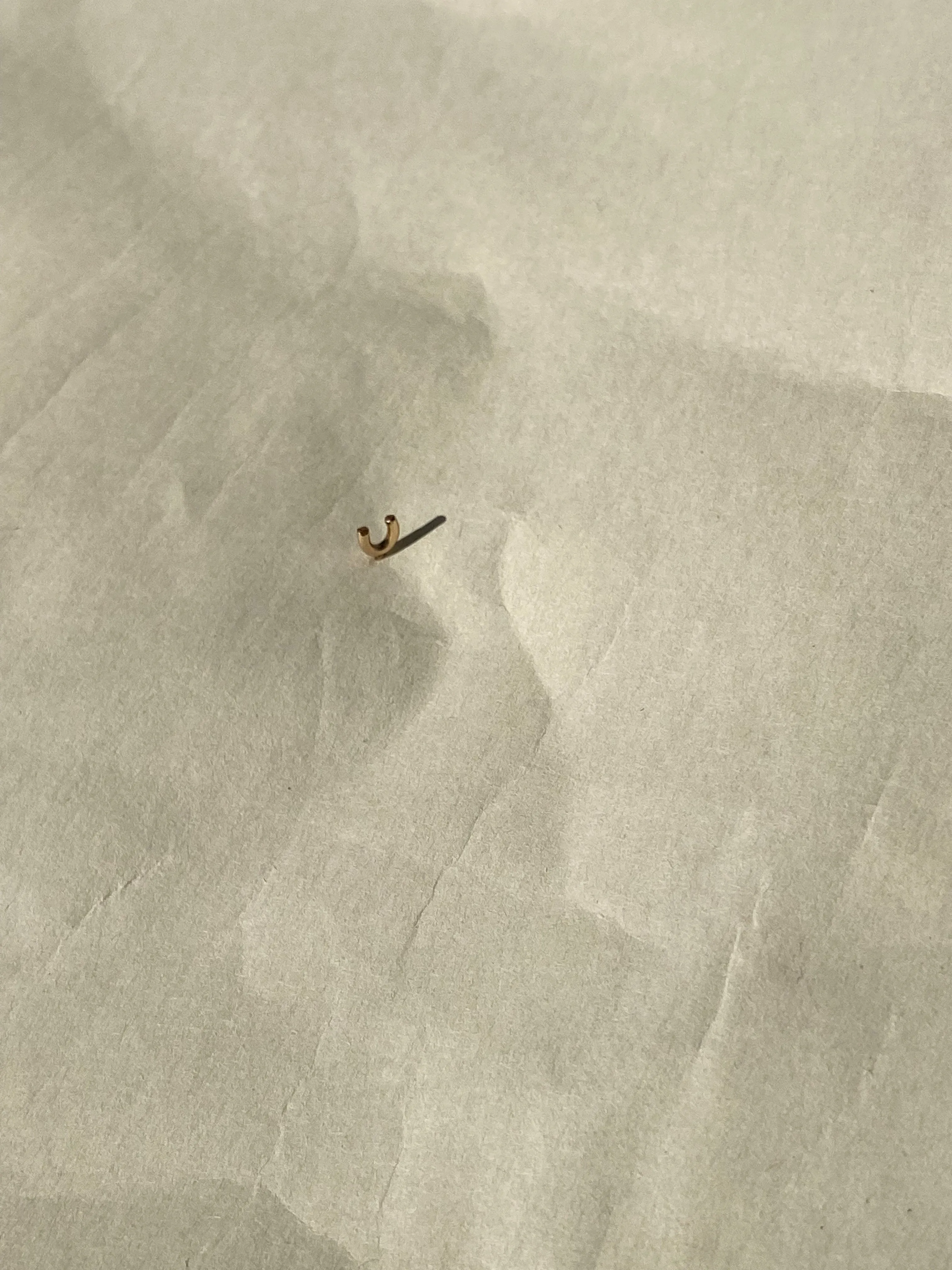 Horseshoe Stud