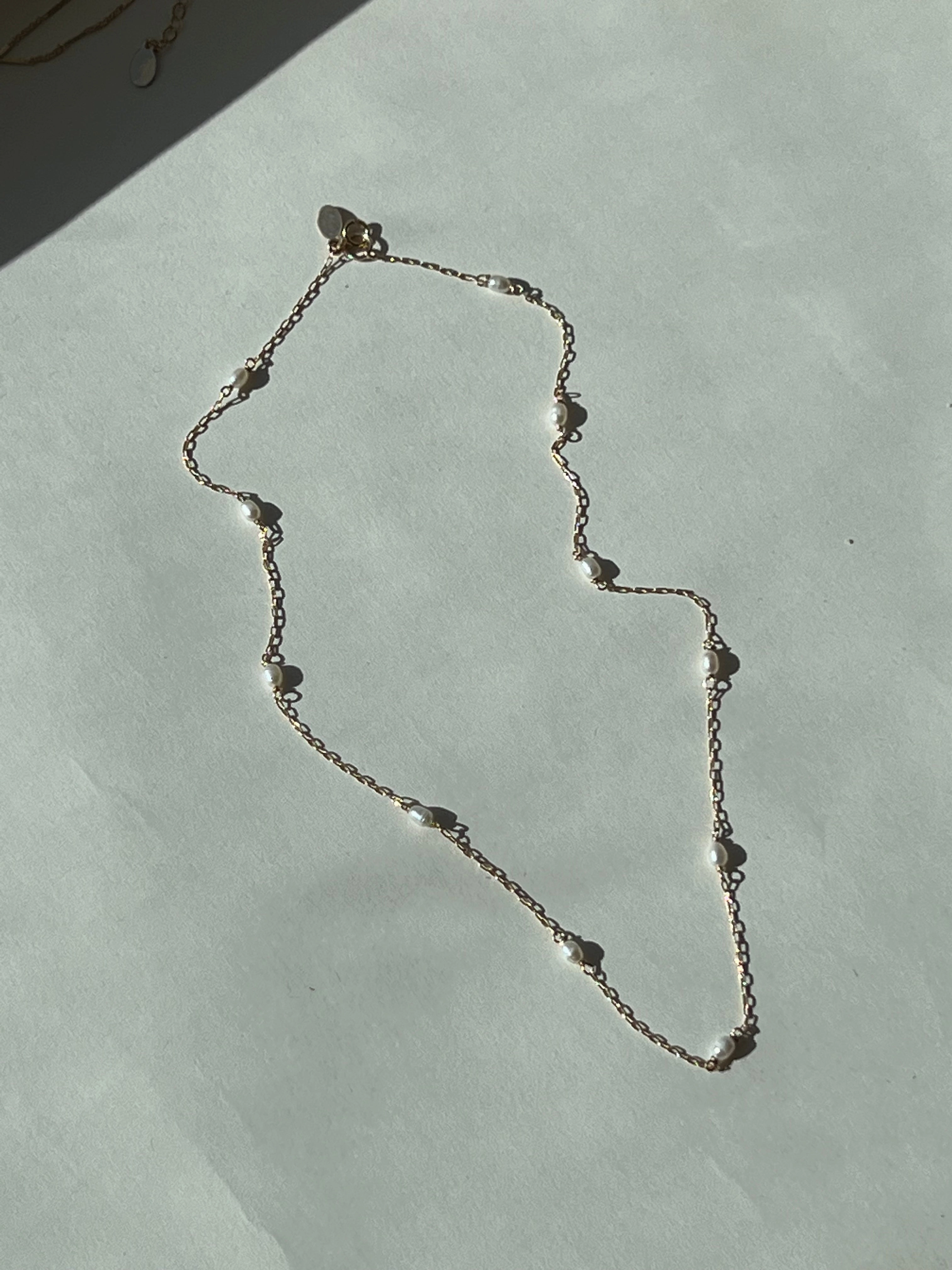 Seed Necklace