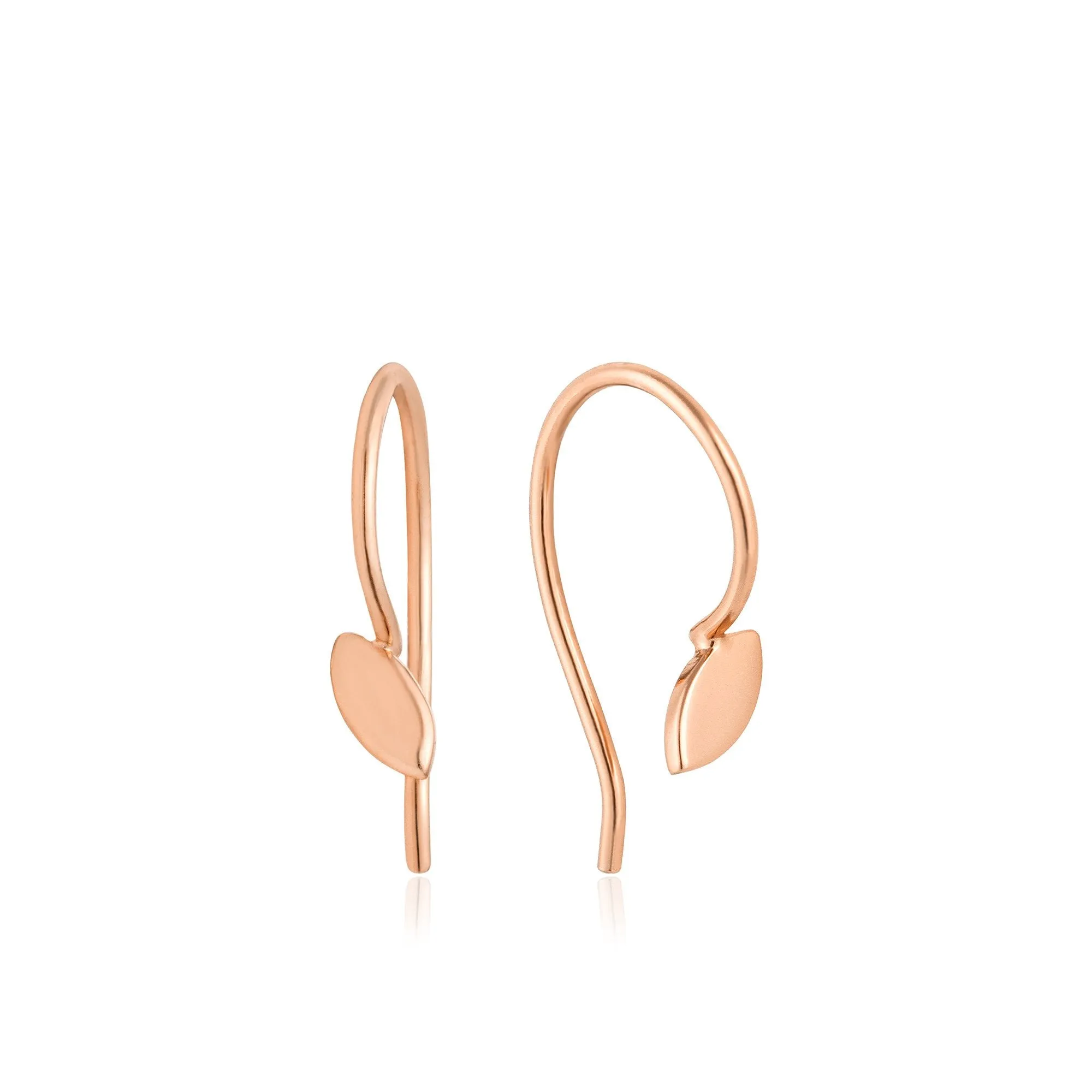 Silver Hook Earrings
