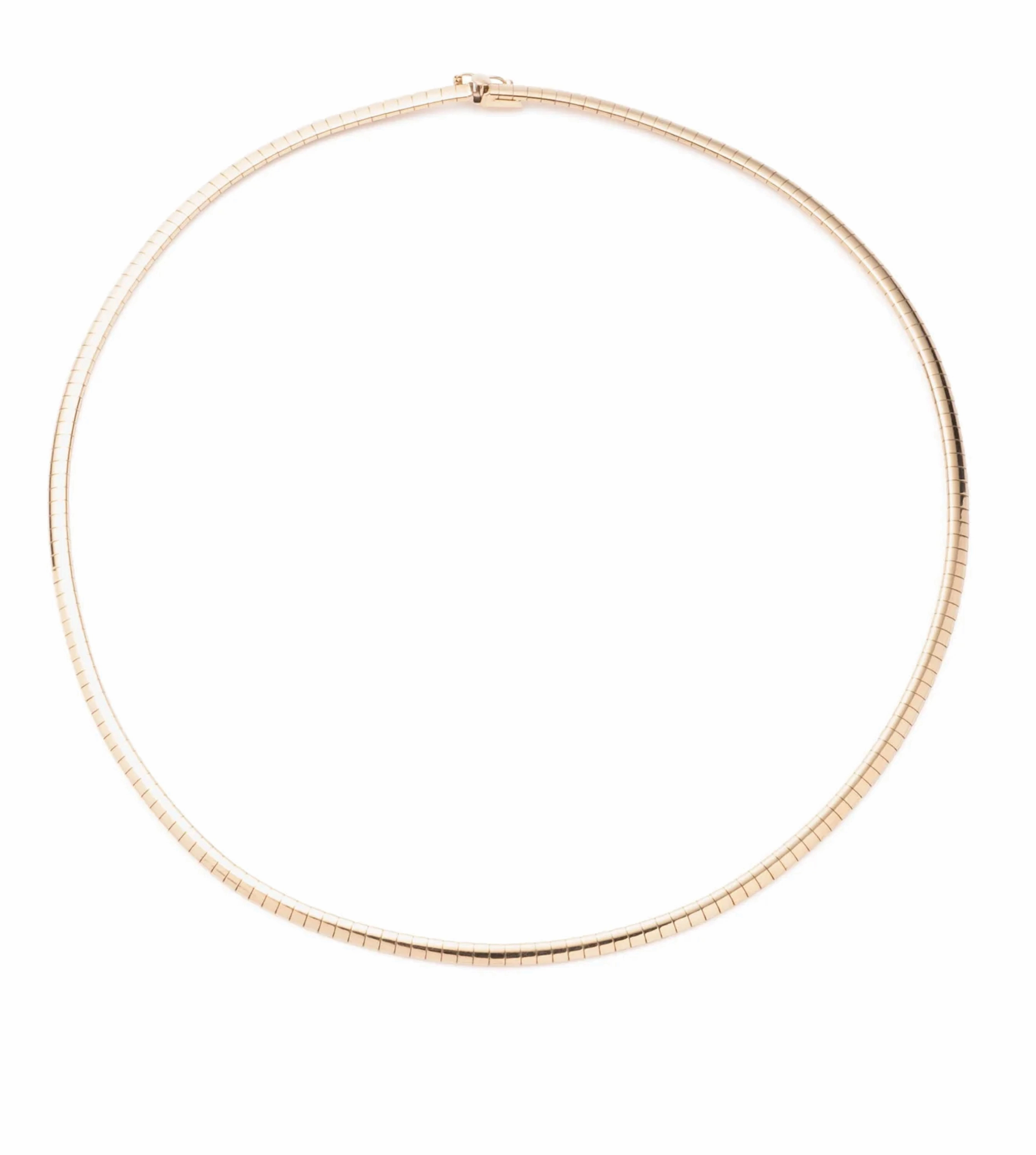 Small Sleek Collar Necklace