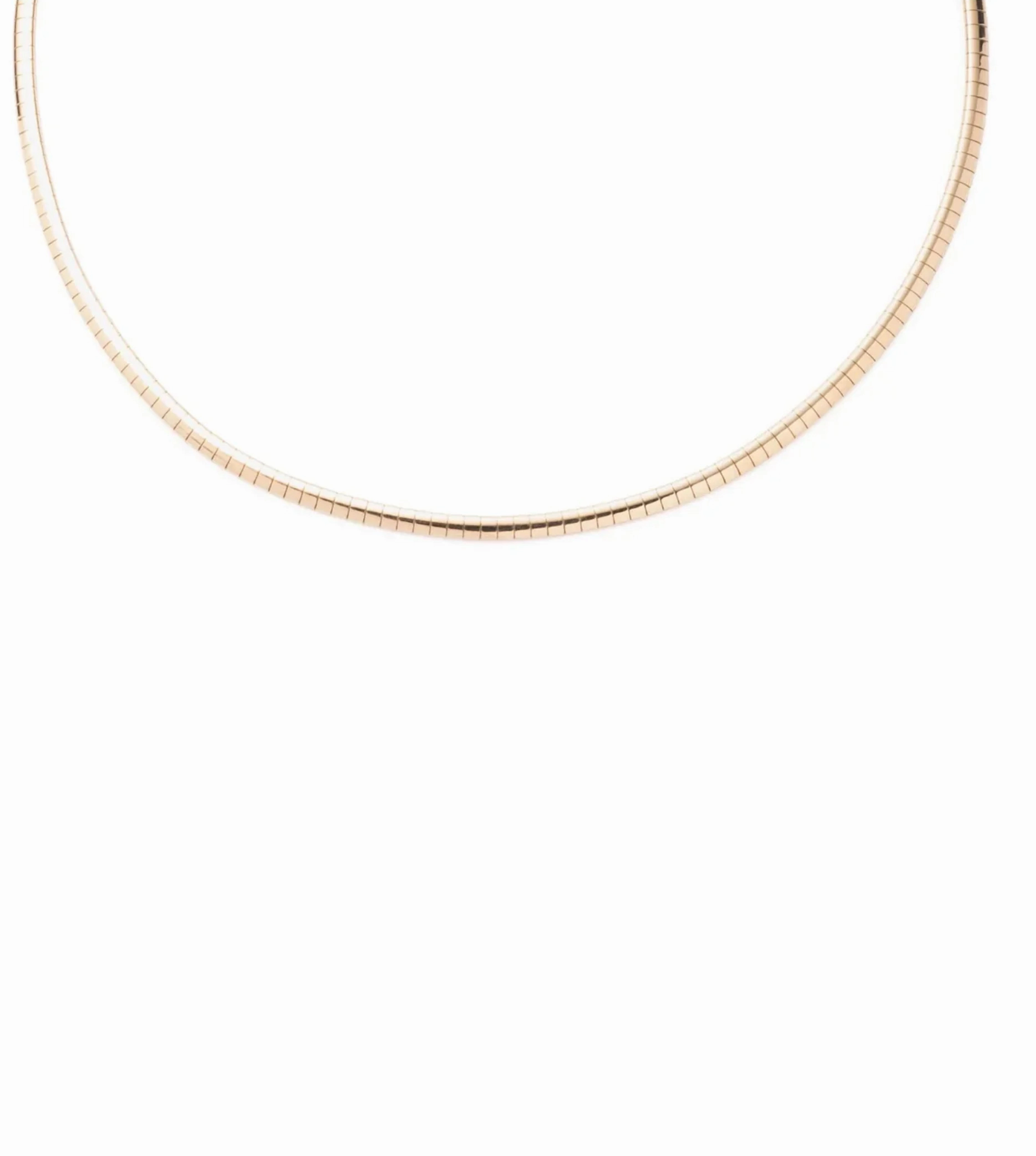 Small Sleek Collar Necklace