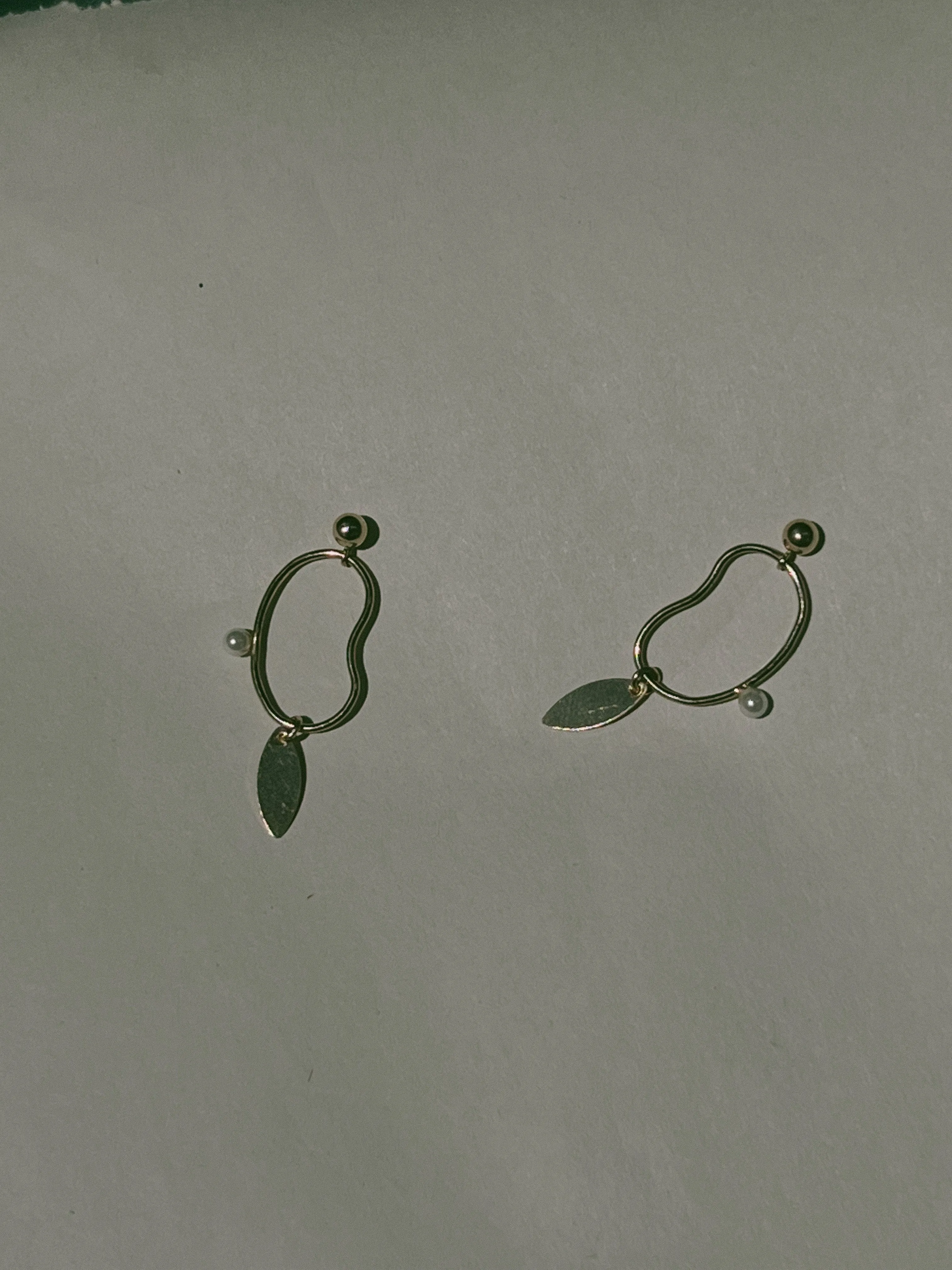 Speck Earrings