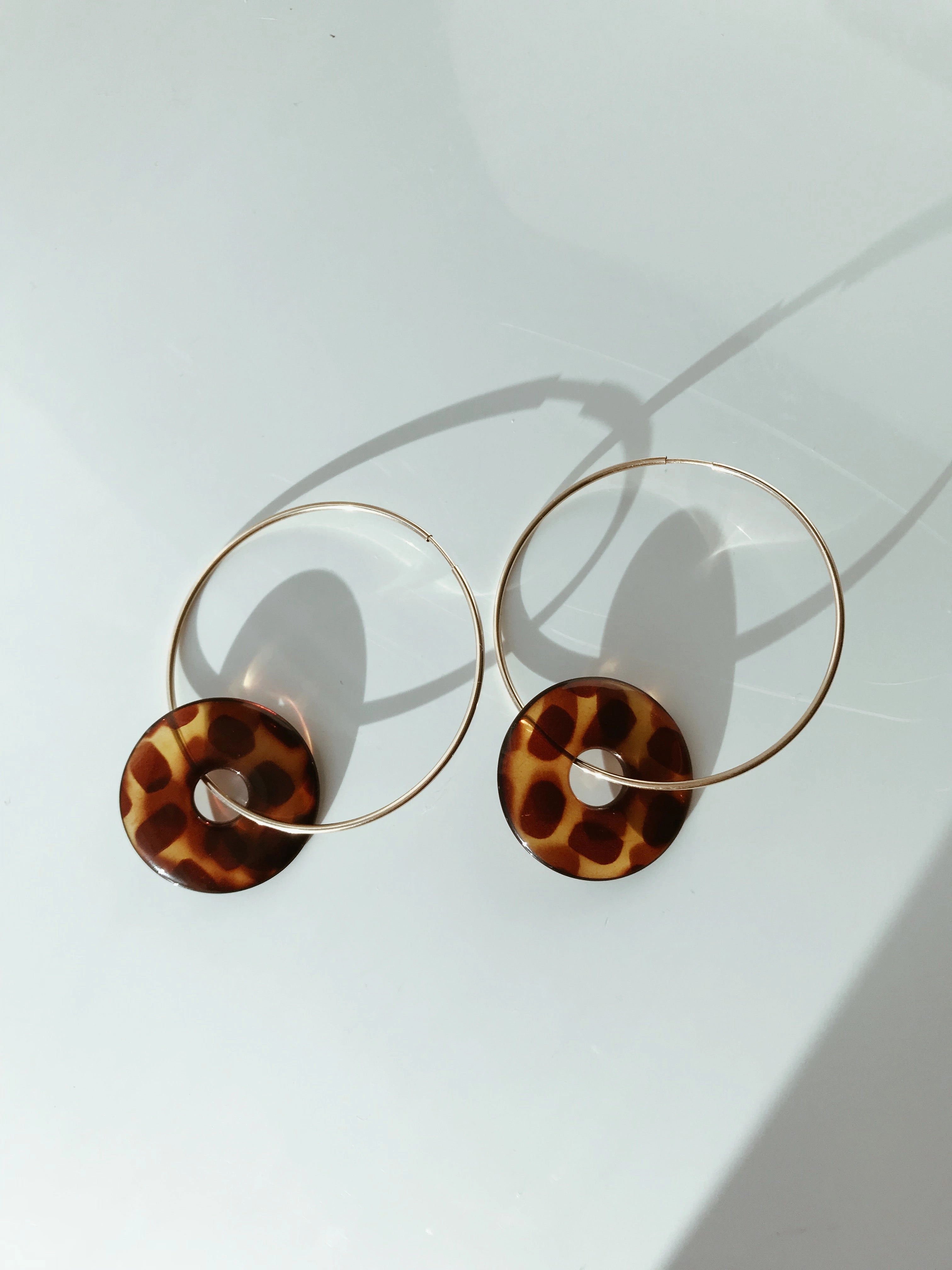 Tortoise Hoops
